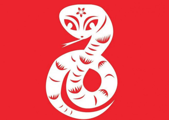 4 Shio Kurang Hoki di Tahun Ular Kayu 2025 & Tips Memaksimalkan Keberuntungan