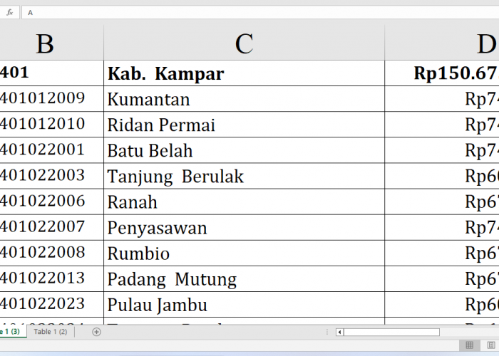 Rincian Dana Desa 2025 Kampar Provinsi Riau Rp234,3 miliar, Berikut Detail per Desa: Simak yang Terbesar