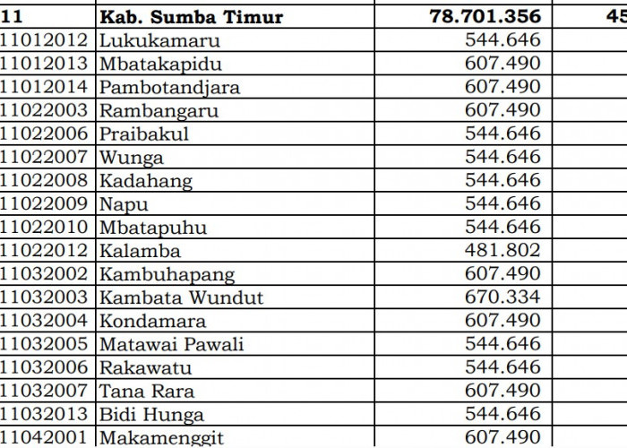 Rincian Dana Desa 2024 Sumba Timur, NTT: Cek Jawabannya di Sini