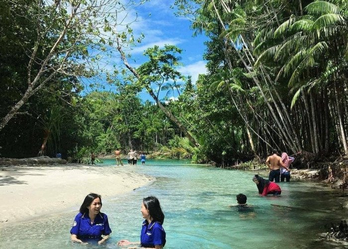 Segera Jadwalkan Keberangkatan! Nikmati Pesona Pulau Enggano di Akhir Tahun 2023 