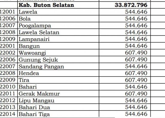 Dana Desa Tiap Desa 2024 di Buton Selatan, Sulawesi Tenggara: 4 Desa 1 Miliar