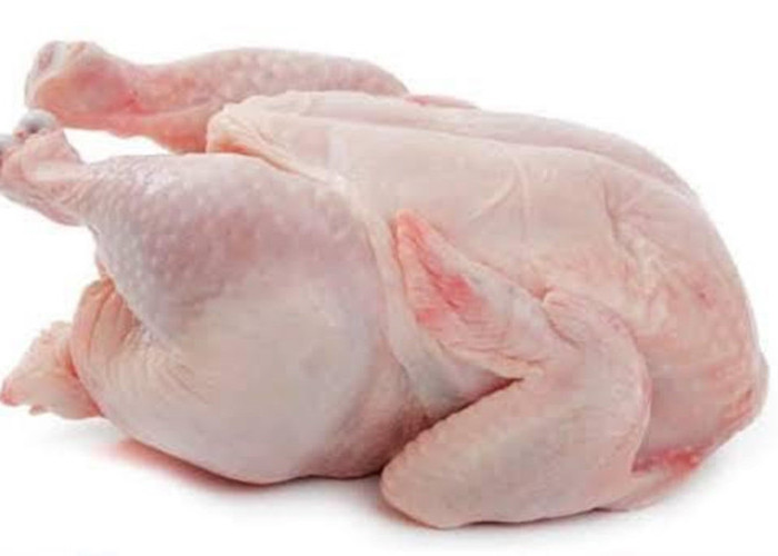 Hindari Konsumsi Ekor dan Paru Ayam, Mengandung Bakteri dan Parasit
