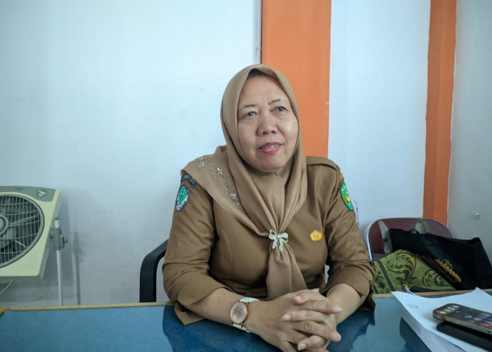 Fenomena Gunung Es HIV di Bengkulu, Dinkes Sebut Kasus Terdata Masih Rendah