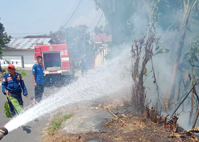 Kebakaran Lahan di Tengah Permukiman Rejang Lebong Nyaris Sambar Rumah Warga