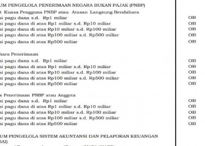 PMK Terbaru Atur Honorarium UKPBJ dan Pengelola PNBP 2026, Kepala UKPBJ Maksimal Rp1 Juta