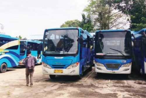 10 Unit Bus Trans Rafflesia Sia-sia, 3 Tahun Parkir