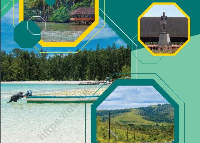 PPPK Tahun 2024! Maluku Dapat Dana 356 Miliar: Terbesar Maluku Tengah