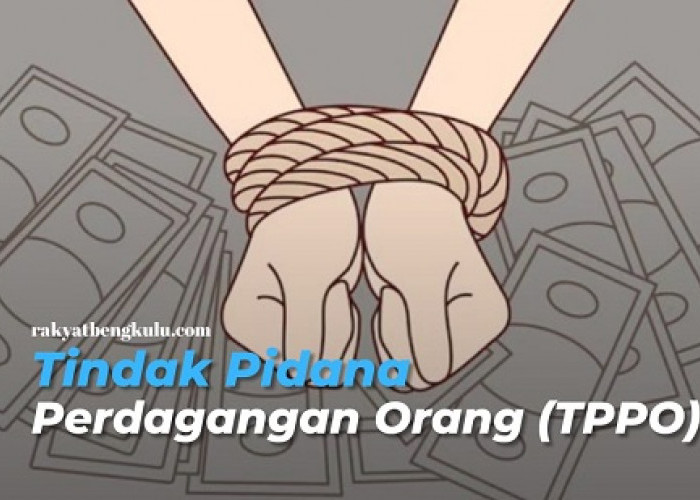 36 Korban Perdagangan Orang Selamat, Polda Bengkulu dan Jajaran Tangkap 19 TSK Selama Gelaran Operasi TPPO