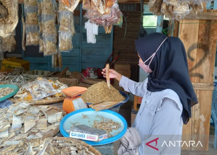 Pembiayaan UMi Bengkulu Tembus Rp100,12 Miliar, DJPb Dorong UMKM Manfaatkan Program