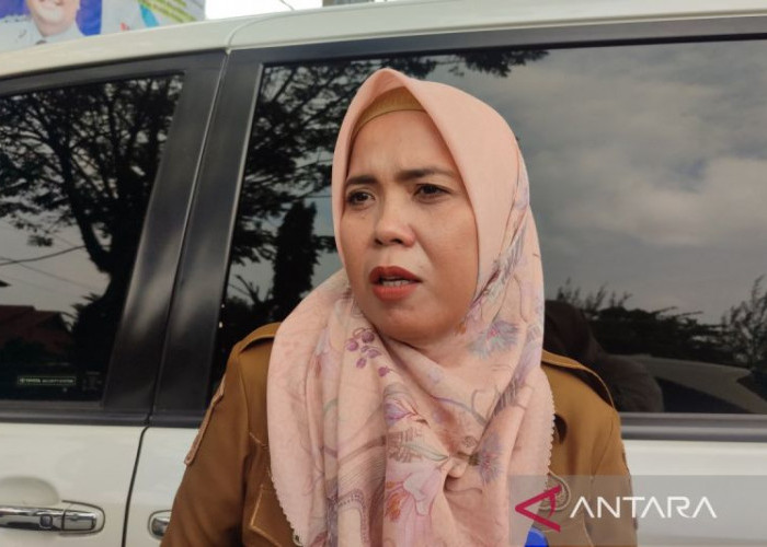Festival Pantai Panjang 2026 Targetkan 200 UMKM, Expo Pesisir 2,3 Km Jadi Daya Tarik Utama