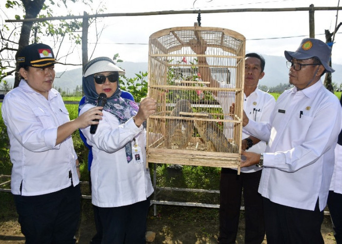 Dirjen Pembenihan dan Holtikultura Kementan Kunjungi Rejang Lebong, Ada Apa? 