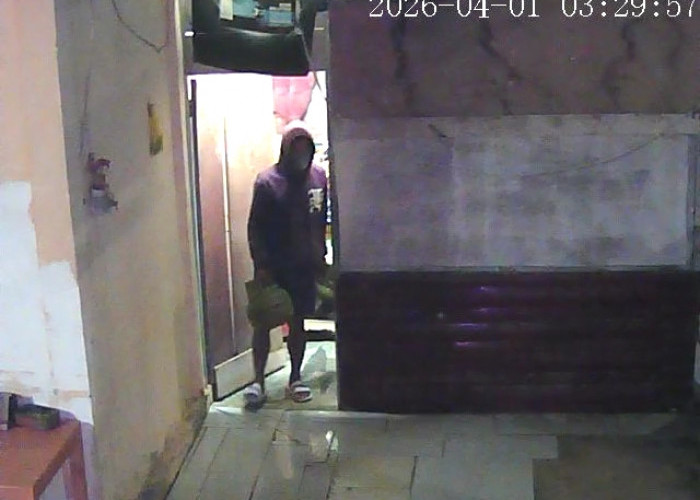 Aksi Maling Dini Hari di Kandang Limun Terekam CCTV, 6 Tabung Gas Raib Digondol