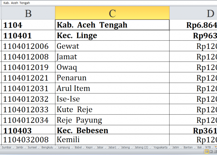 57 Desa di Kabupaten Aceh Tengah Raih Dana Insentif Desa 2024, Ini yang Beruntung