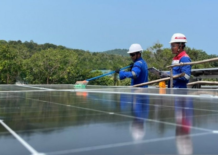 PLTS 1 MW Hadir di Pulau Sembur, Warga Kini Bisa Nikmati Listrik 24 Jam