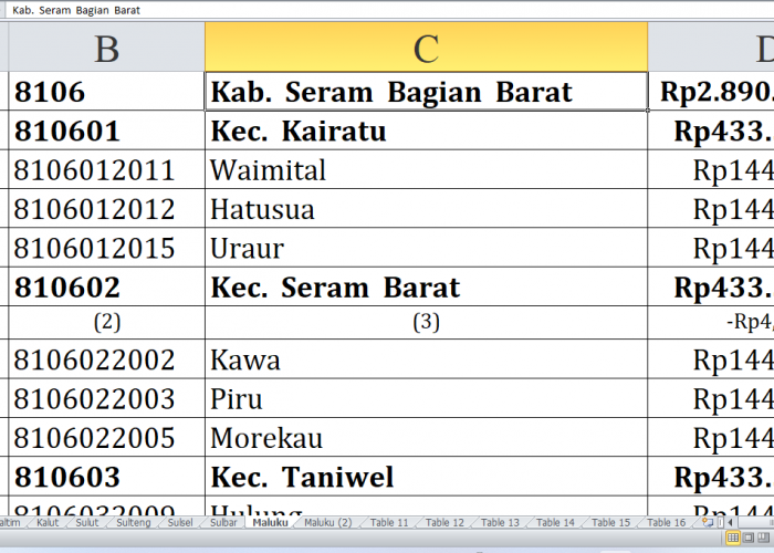 Ini Desa di Kabupaten Seram Bagian Barat, Kepulauan Aru dan Kota Tual Raih Dana Insentif Desa Tahun 2024