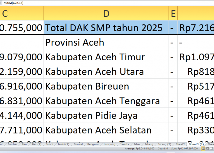 DAK SD dan SMP untuk Kabupaten dan Kota di Provinsi Aceh Tahun 2025, Ini Rincian Lengkapnya