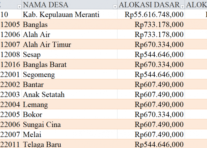 Tabel Rincian Dana Desa 2024 Kabupaten Kepulauan Meranti, Riau: Ini Lengkapnya