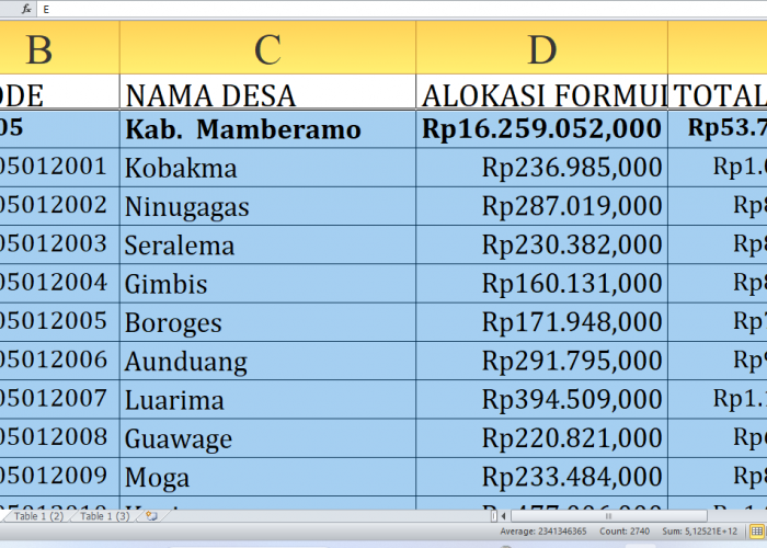 Mamberamo Tengah Provinsi Papua Pegunungan Dapat Rp53,7 Miliar Dana Desa 2025: Simak Detailnya per Desa