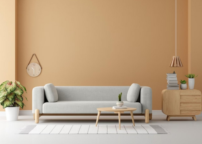 10 Tips Memilih Sofa untuk Ruang Tamu Minimalis