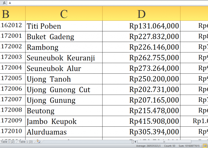 Rincian Lengkap Dana Desa 2025: Aceh Selatan Provinsi Aceh Dapat Jatah Rp198,4 Miliar! Dari Desa L-U