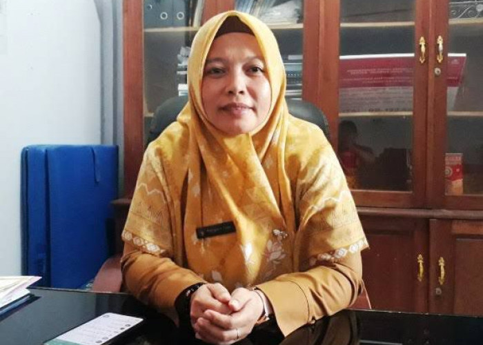 Wabah Ngorok Serang Mukomuko, 50 Ekor Kerbau Mati Terinfeksi Septicaemia Epizootica