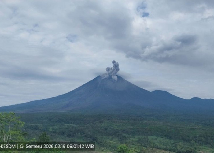 Gunung Semeru Erupsi 3 Kali Pagi Ini, Kolom Abu Capai 800 Meter