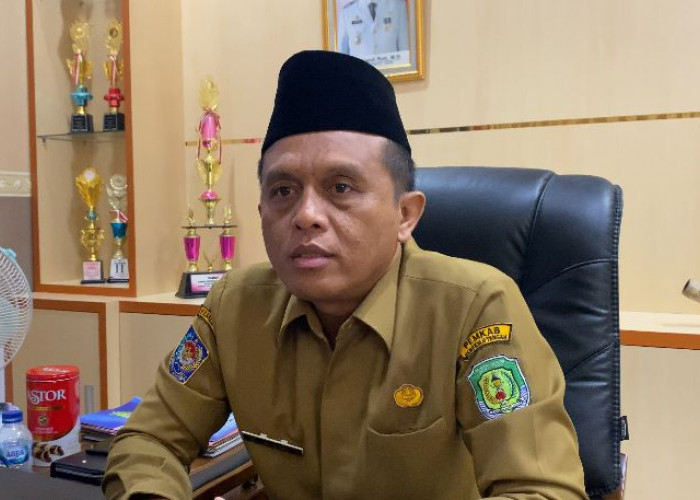 550 Pendaftar CPNS di Bengkulu Tengah Gugur, BKPSDM Ingatkan Warga untuk Waspada Calo