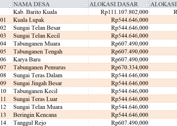 Tabel Rincian Dana Desa 2024 Kabupaten Barito Kuala, Kalimantan Selatan: Ini Lengkapnya