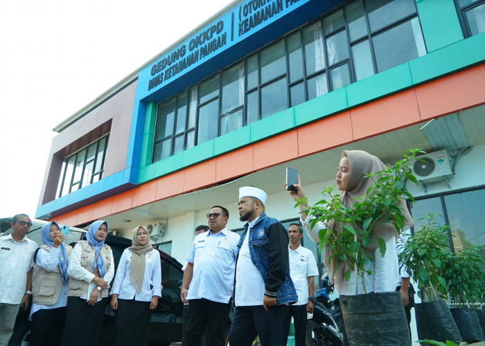 Gubernur Helmi Hasan Gercep! Lahan dan Anggaran Melimpah untuk Ketahanan Pangan Bengkulu!