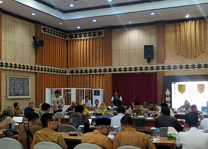 36 Titik Dapat Program Listrik Desa, Lebong Tandai dan Sungai Lisai Pakai PLTS