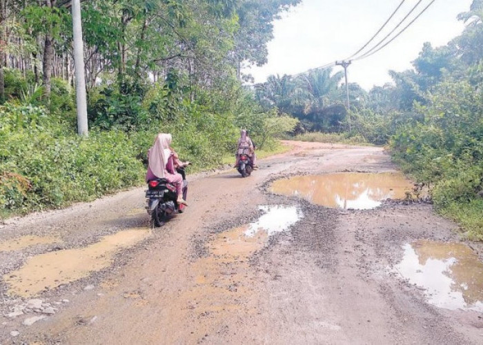 Penutupan Akses Jalinbar di Bengkulu Utara Bakalan Panas, Ini Pemicunya