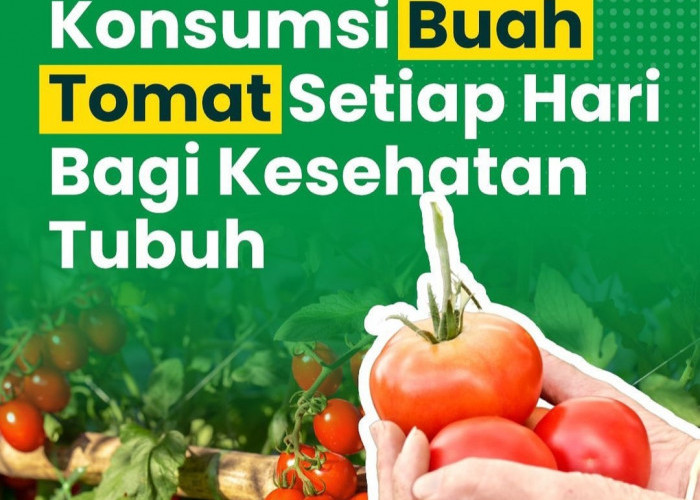 6 Manfaat Konsumsi Tomat Setiap Hari untuk Kesehatan Tubuh