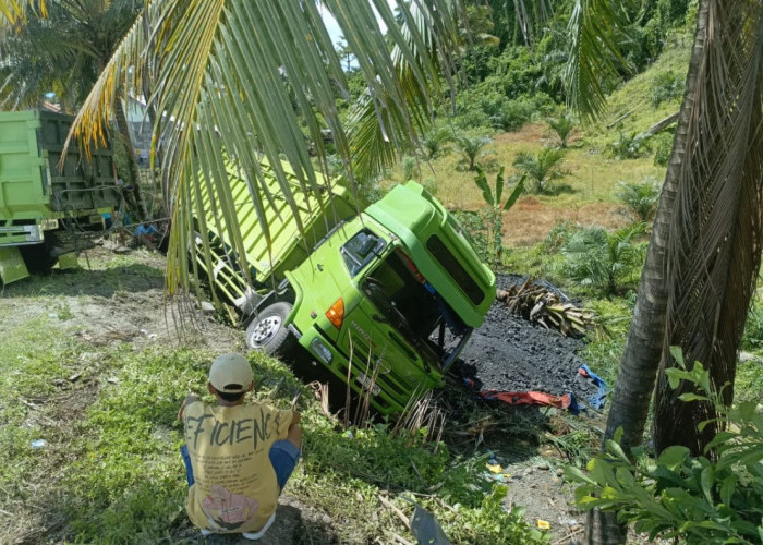 Truk Fuso Bermuatan Batu Bara Terguling ke Jurang, Kerugian Capai Puluhan Juta Rupiah