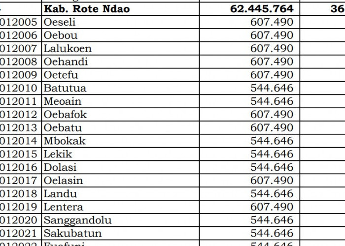 Ini Rincian Dana Desa 2024 Rote Ndao, NTT! Simak Lengkapnya di Sini