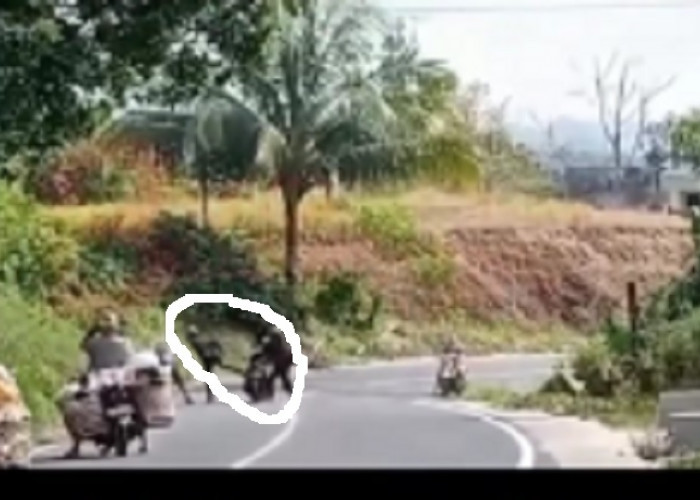 Ngeri! Aksi Begal di Jalan Lintas Curup - Linggau Terekam Kamera Warga, Penjelasan Polres Rejang Lebong Begini