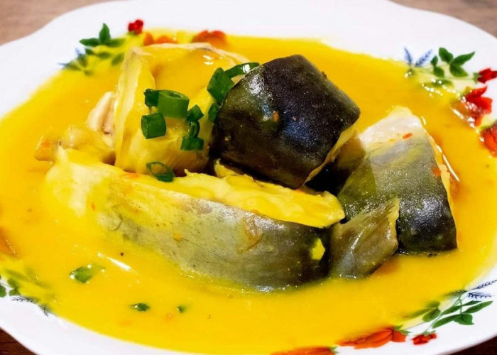 Resep Ikan Patin Tempoyak Khas Bengkulu yang Lezat dan Menggugah Selera