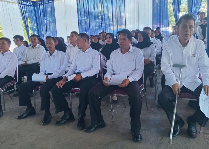 Nasib PPPK Kepahiang Diumumkan 16 Juni, Penempatan Tunggu Kebutuhan OPD
