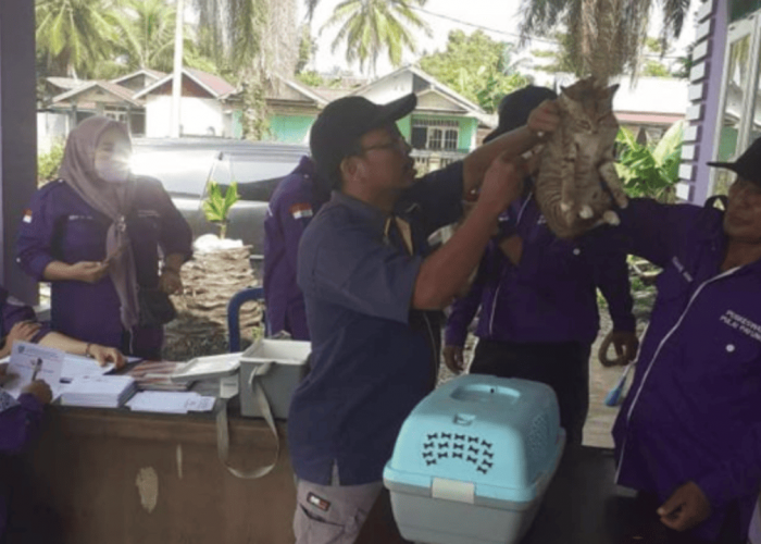 Awas! Kasus Gigitan Hewan Penular Rabies di Mukomuko Meningkat Jadi 83 Orang, Dinkes Lakukan Ini