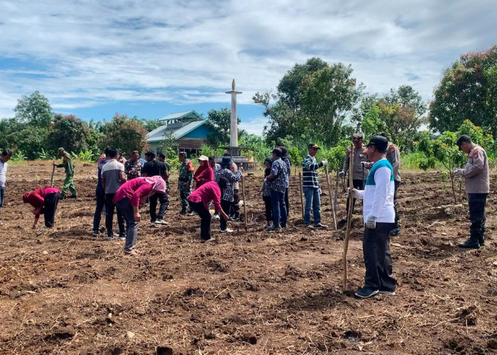Dukung Program Nasional Tanam Jagung 1 Juta Hektare, Petani Mukomuko Terima Bantuan Benih dan Mulai Penanaman