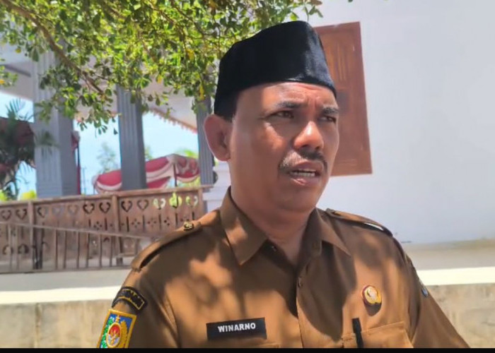 Pemkab Mukomuko Masih Kaji Rekrutmen ASN 2026, Ini Alasannya