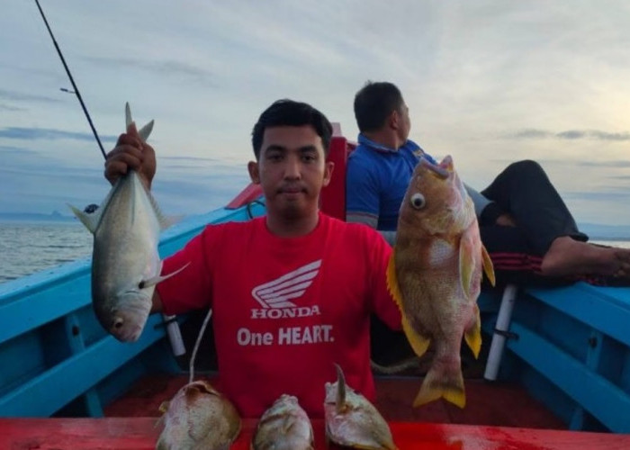 Wow! 20 Jenis Alat Tangkap Ini Dilarang Beroperasi di Bengkulu: di Semua Jalur Penangkapan Ikan