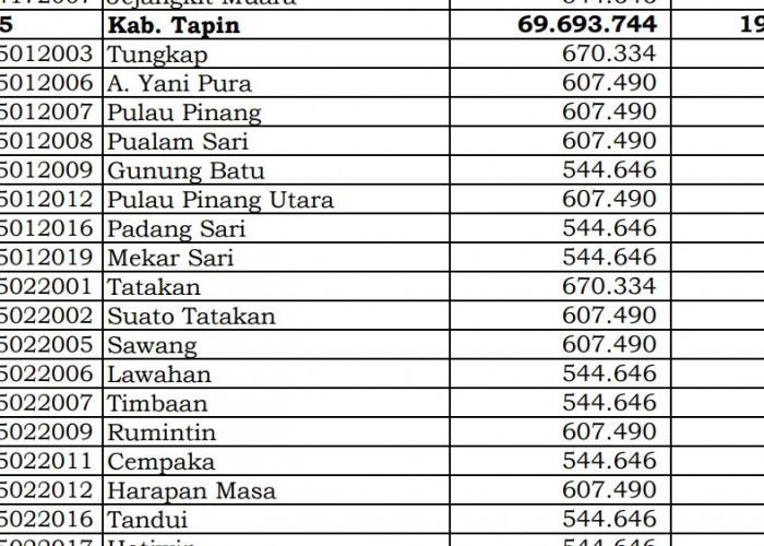 Rincian Dana Desa 2024 Tapin, Kalimantan Selatan! Simak Jawabannya di Sini