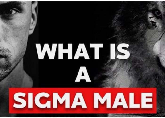 Mengenal Kepribadian Sigma Male, Pria dengan Sifat Pragmatis, Penyendiri dan Paranoid