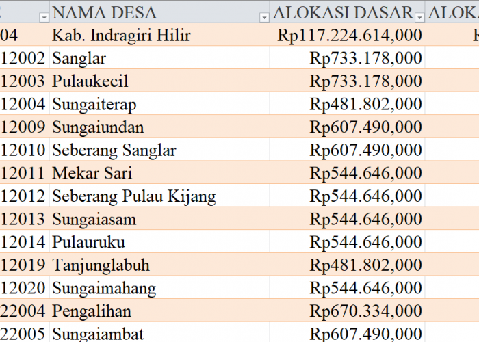 Tabel Rincian Dana Desa 2024 Kabupaten Indragiri Hilir, Riau: Ini Lengkapnya
