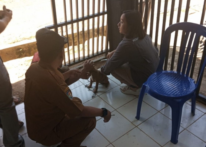 300 Dosis Vaksin Rabies Masih Tersedia, Disperkan Lebong Ajak Masyarakat Segera Ajukan