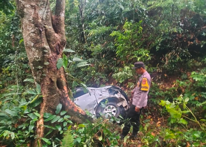 Kecelakaan di Liku Sembilan, Mobil Dinas Asal Sumsel Masuk Jurang, Begini Kondisi Sopir dan Penumpang