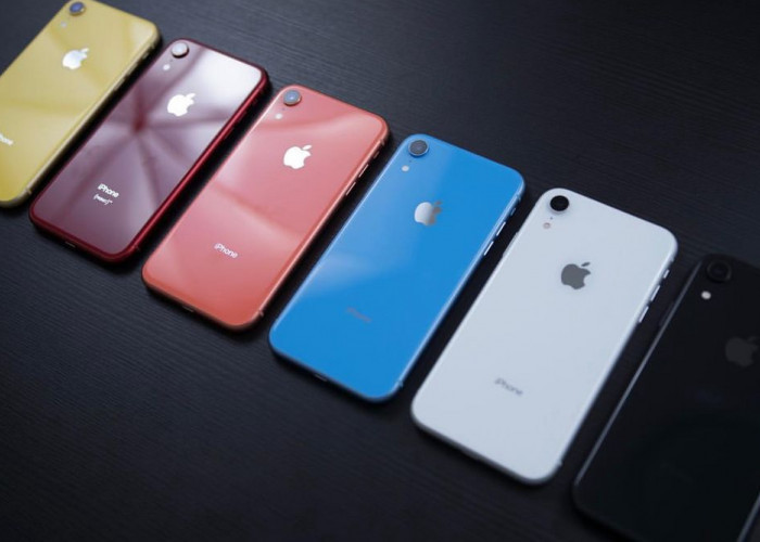 9 Pertimbangan Sebelum Membeli iPhone XR di Tahun 2024