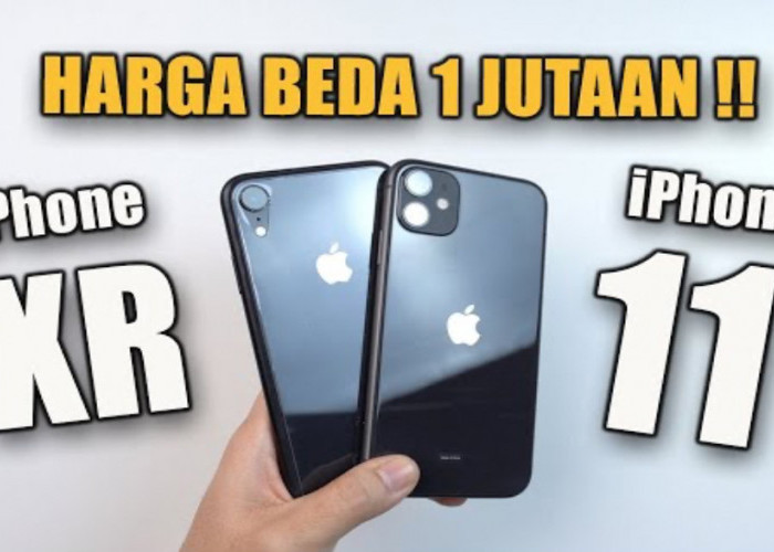 iPhone XR vs iPhone 11: Mana yang Lebih Cocok untuk Kamu?