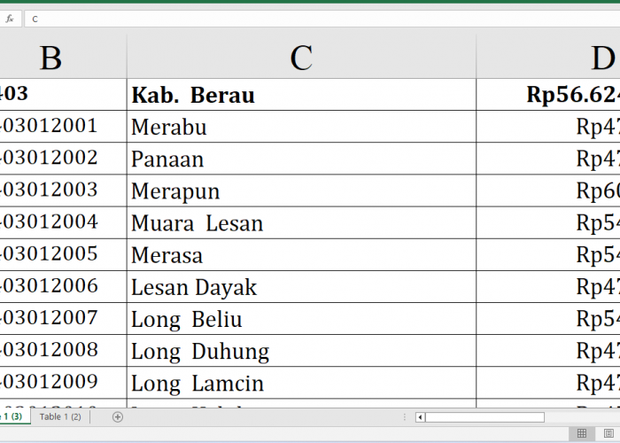 Detail per Desa, Rincian Dana Desa 2025 Berau Provinsi Kalimantan Timur Rp101,5 miliar: Siapa yang Terbesar?