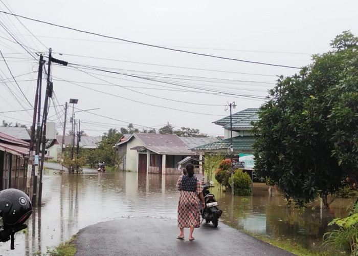 Curah Hujan Tinggi, BPBD Catat 11 Titik Banjir di Kota Bengkulu